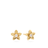Tuerca, Oro de 9 quilates, Zirconia cúbica artificial