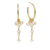 Aros, Bañado en oro, Perla cultivada