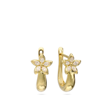 Aros, Bañado en oro, Zirconia cúbica artificial