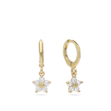 Aros, Bañado en oro, Zirconia cúbica artificial