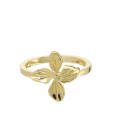 Anillo Delicado, Bañado en oro, Sin piedra