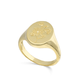 Anillo Delicado, Bañado en oro, Sin piedra