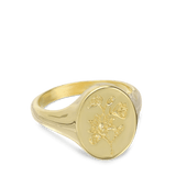 Anillo Delicado, Bañado en oro, Sin piedra