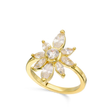 Anillo Delicado, Bañado en oro, Zirconia cúbica artificial